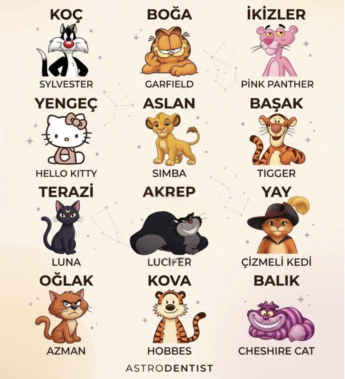 Günaydınn bu güne hangi kedi gibi başladınız 😅?