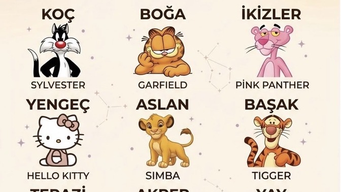 Günaydınn bu güne hangi kedi gibi başladınız 😅?
