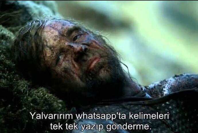 Mesajlaşırken kelime kelime yazanlara sinir oluyor musunuz yoksa normal mi?