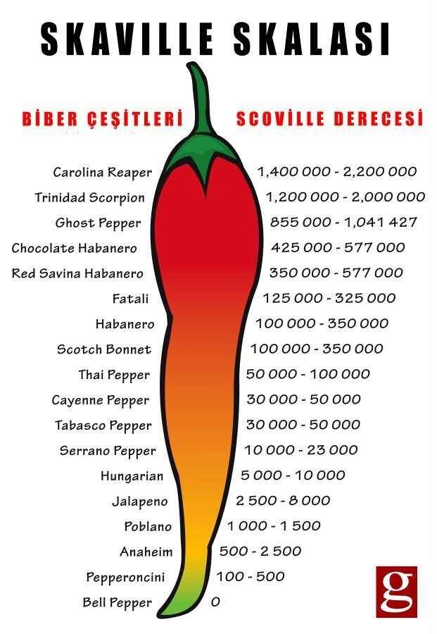 Acı bibere ne kadar dayanıklısın?