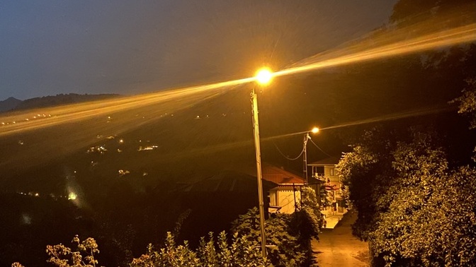 Gündüz mü gece mi insanısınız?