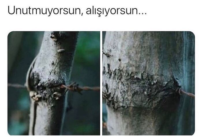 Bi şansın daha olsa napardın?