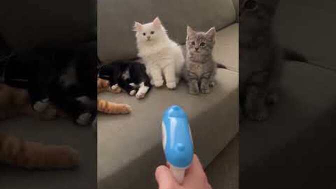 Bu gerçek mi yapay zeka mı :)?