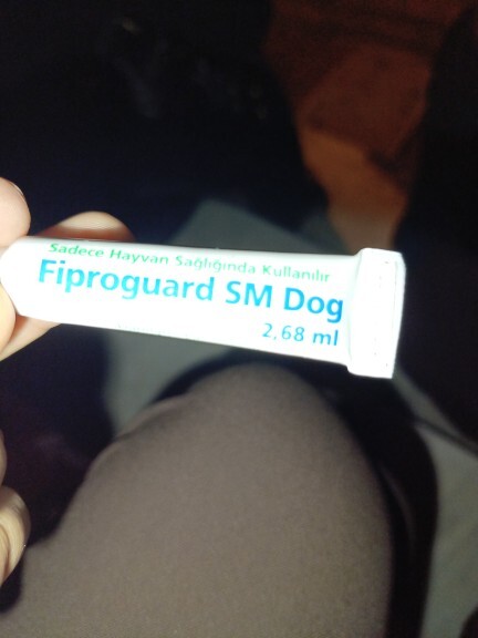 Köpekler için tek doz dış parazit ilacı 5 kediye bölerek kullanmak güvenli mi?
