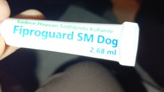 Köpekler için tek doz dış parazit ilacı 5 kediye bölerek kullanmak güvenli mi?