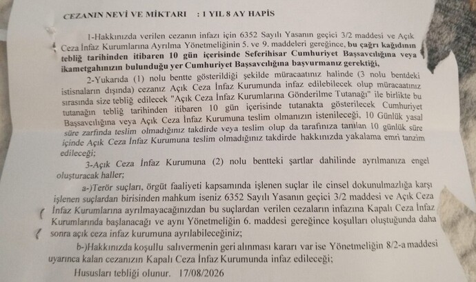 Bu mahkeme kararına göre ne kadar yatacak, ceza süreci nasıl işleyecek?