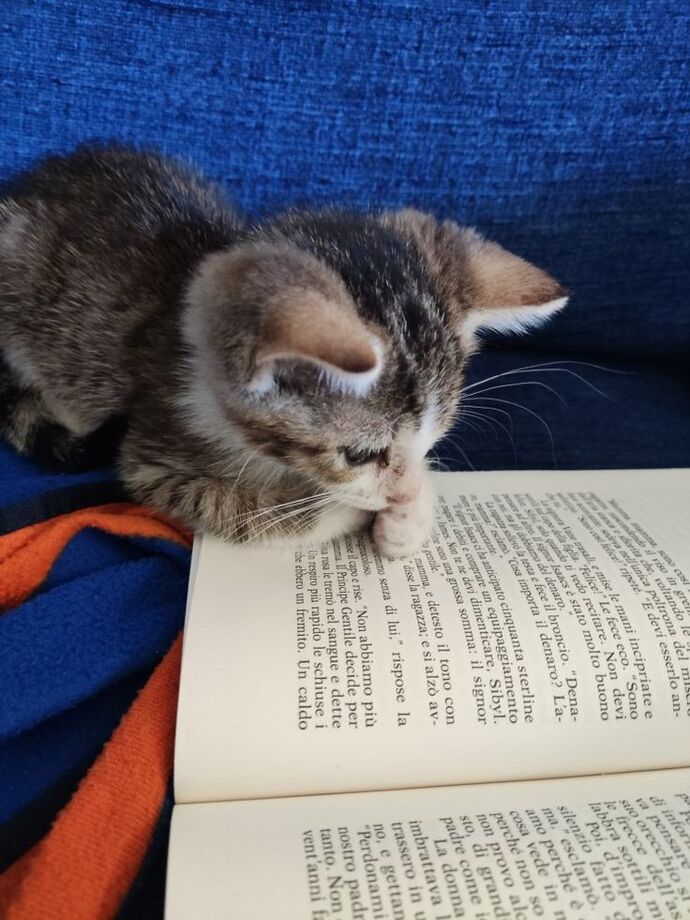 Kitap okumayı sever misiniz günde kaç sayfa bitiriyorsunuz?