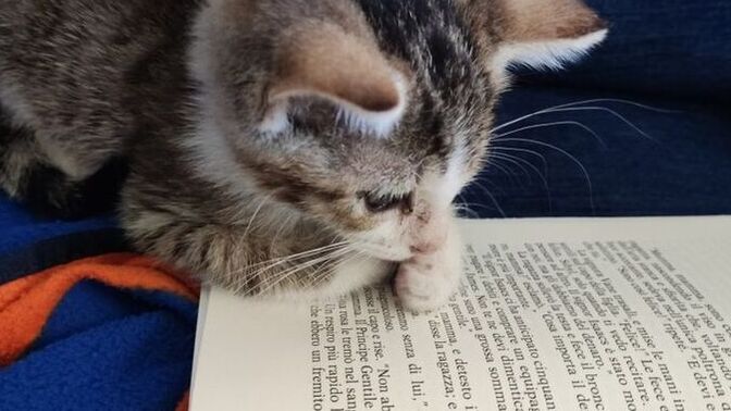 Kitap okumayı sever misiniz günde kaç sayfa bitiriyorsunuz?
