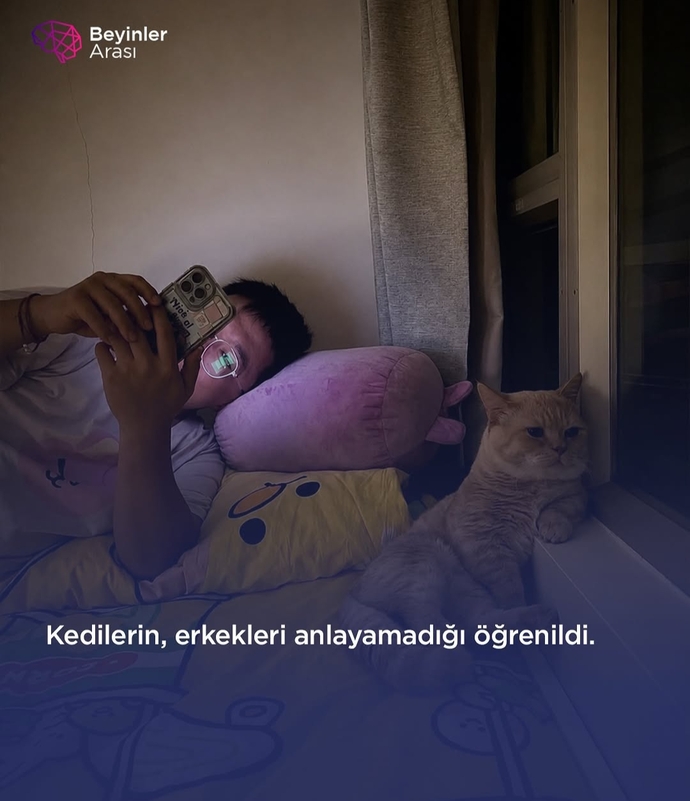 Ne kadar üzücü bir durum kedinin haline bak. Kediyle empati yapıyorum ama arkadaki şu yaşam formu ile no mümkün değil