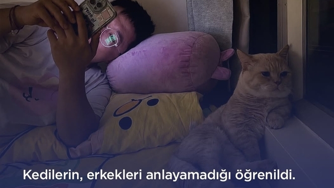 Kediler erkekleri anlamıyormuş. Sizce de normal değil mi?