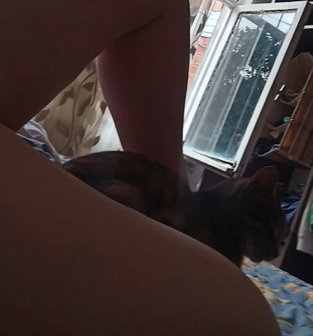 Uyandım camdan kedi girmiş bacağımın üstünde uyumuş hareket edemiyorum ne zaman gider?