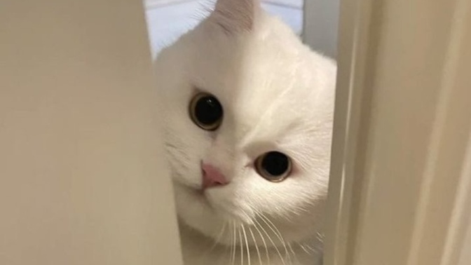 Seni yarı yolda bırakanı affeder misin?