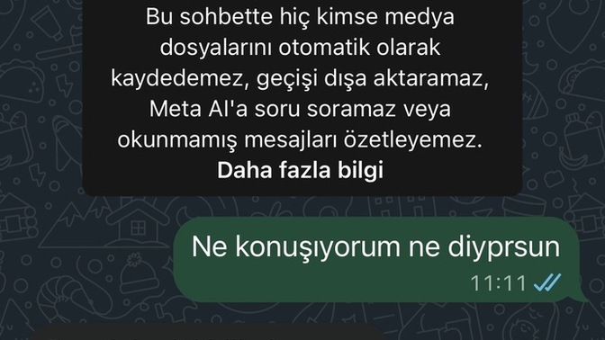 Eski sevgilim benimle uğraşmaya geldi sabahın köründe yazmış sizce kudurmuş mudur?