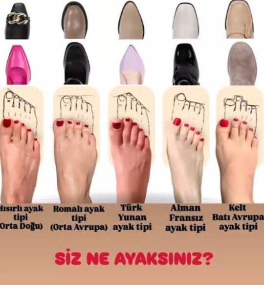 Siz ne ayaksiniz?