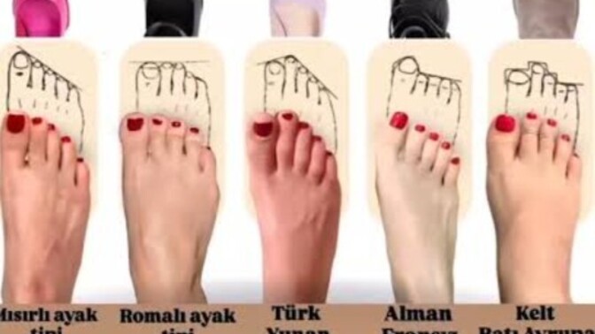 Siz ne ayaksiniz?