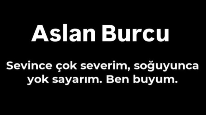 Burç özelliklerinizi taşıyor musunuz?