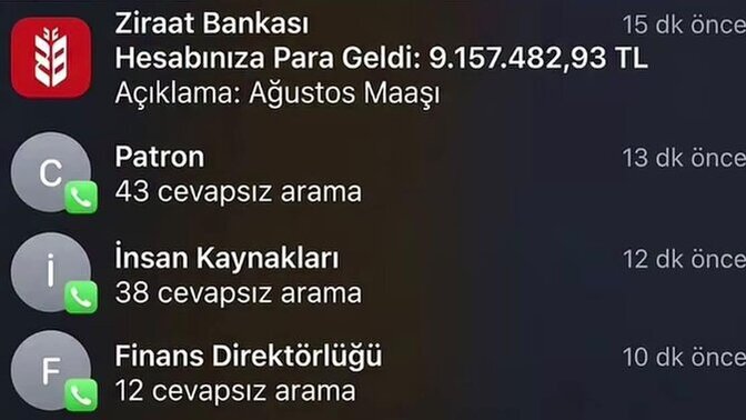 Şirketin bütün maaşı yanlışlıkla sizin hesabınıza yatsa ne yapardınız?