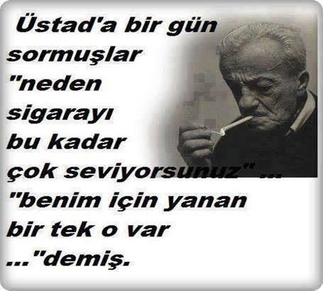 Sizce sigara neden bu kadar mide bulandırıcı ve pis kokuyor ya?