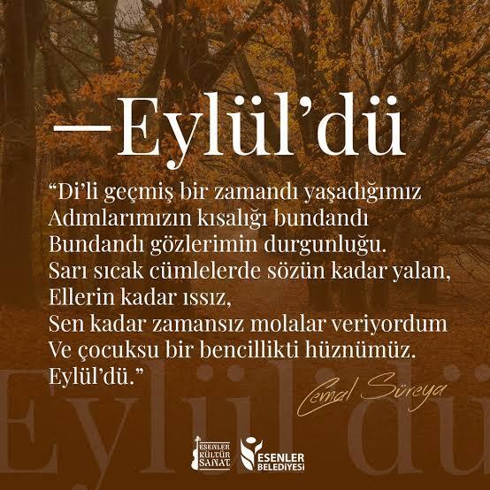 Kulaktaki Frank Çizgisi sosyal medyada gündem oldu! Sizde de var mı?