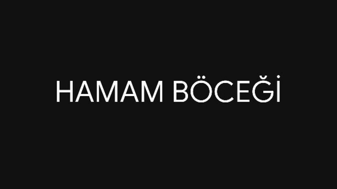 Sizde böcek görünce kaşıntı başlıyor mu, tiksindiğiniz hayvan hangisi?