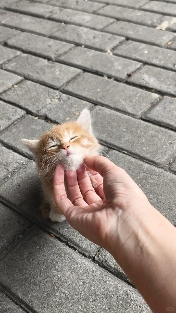 Sevimli biri misiniz yoksa sevimsiz mi?