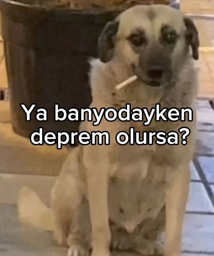 Huzurunuzu bozan şeyler var mı, Anksiyeteniz ne âlemde?