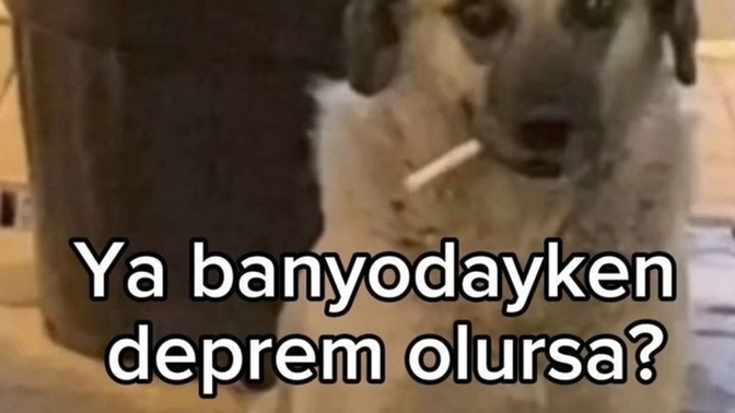 Huzurunuzu bozan şeyler var mı, Anksiyeteniz ne âlemde?