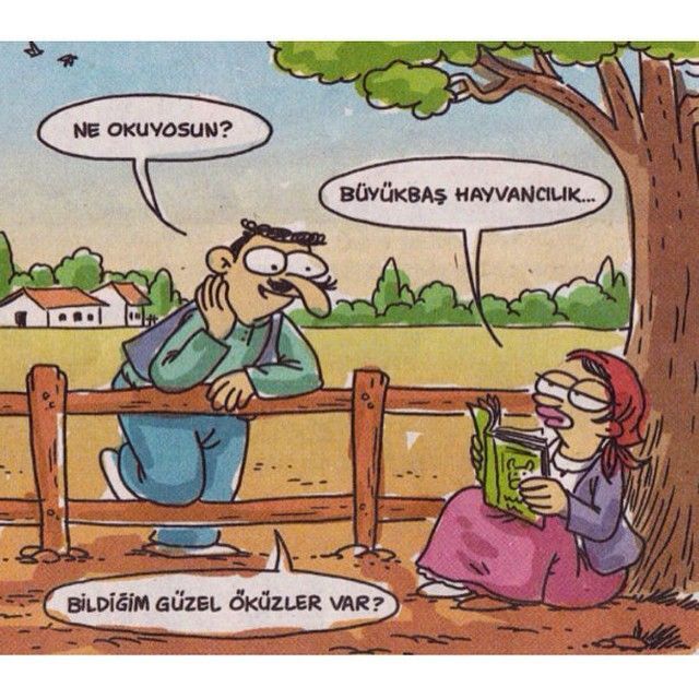 Öküzlerden gidiyor galiba 🙄