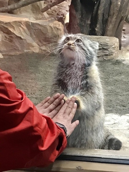Birini sevdiğini bir şekilde anlıyorsun peki ya nasıl bağlandığını?