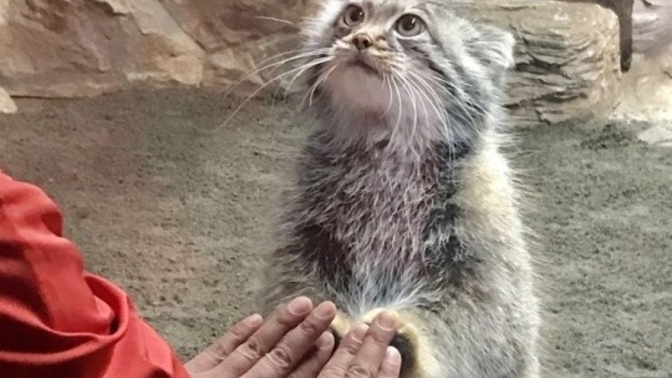 Birini sevdiğini bir şekilde anlıyorsun peki ya nasıl bağlandığını?