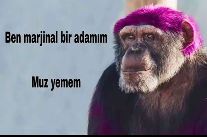 Seni bu zamanın insanından farklı kılan ne var, Bu zamandan olmadığını düşünüyor musun?
