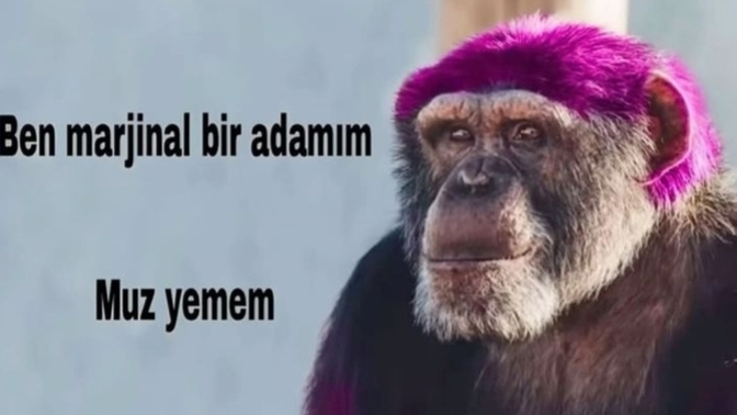 Seni bu zamanın insanından farklı kılan ne var, Bu zamandan olmadığını düşünüyor musun?