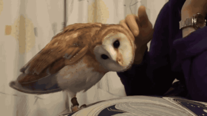 Güven zamanla mı oluşur, hisle mi yoksa güvenmek bir seçim midir?