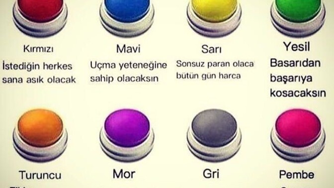 Tek bir düğmeye basacak olsaydınız bu hangisi olurdu neden?