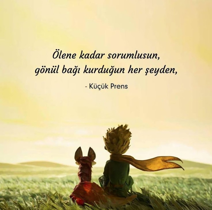 Baba yarısı abi midir yoksa amca mıdır?
