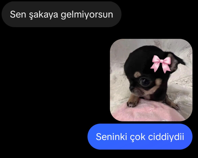 Bazı arkadaşlarımda çok yanılıyorum. 😹