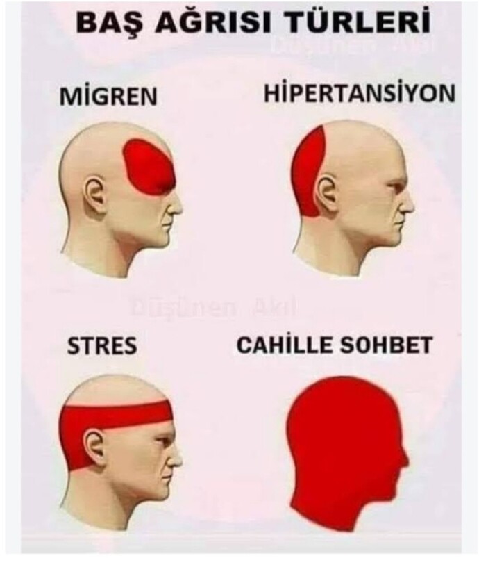 Cahillere laf anlatmaya çalışıyor musun?