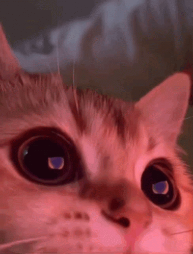 Bir oda mı bir insan mı yoksa sessizlik mi