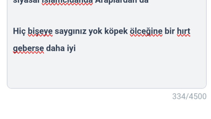 Köpek ve kedi düşmanlığı nereden geliyor, gerçekten genetik bir sebebi mi var?