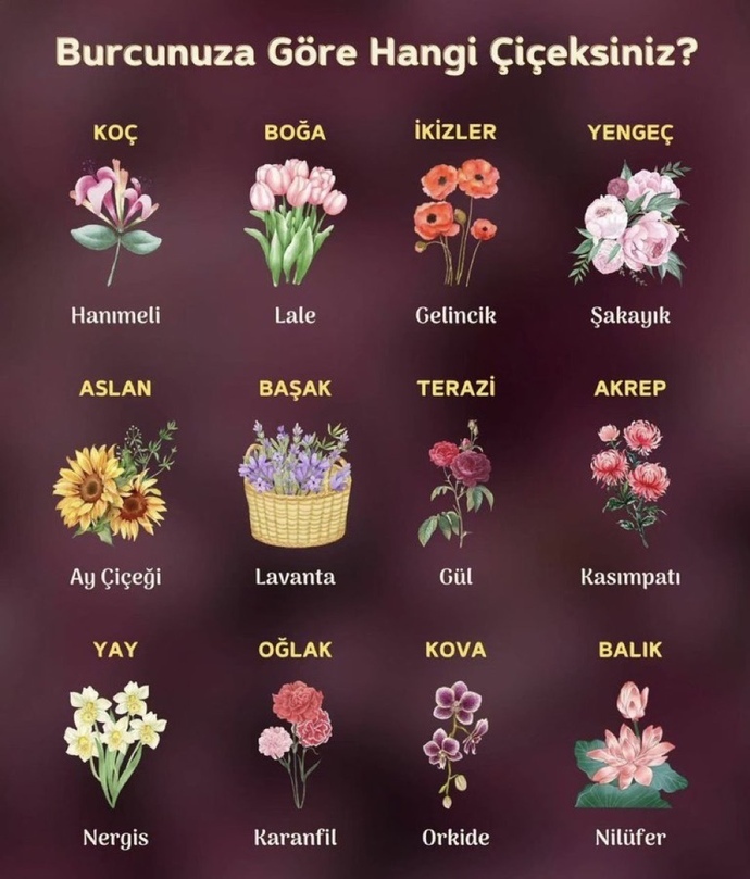 Burcunu hangi çiçek temsil ediyormuş?