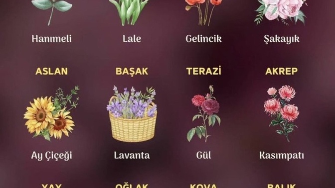 Burcunu hangi çiçek temsil ediyormuş?