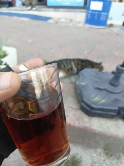 Selammmlarr napiyosunuzz?