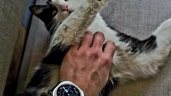 Kimler bu şebekleri seviyor :D?
