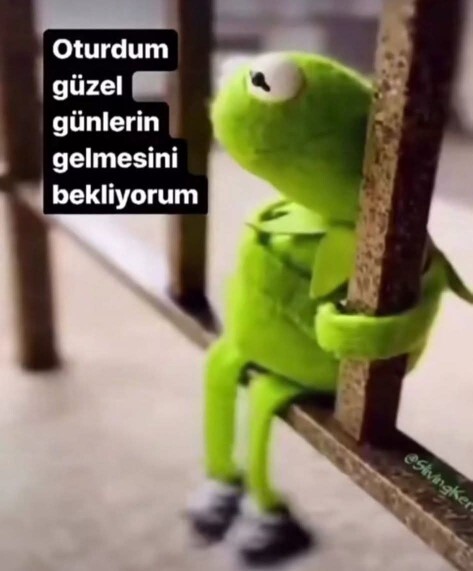 Gerçekten hayattan ne bekliyorsunuz, nasıl bir yaşam sizi tatmin eder?