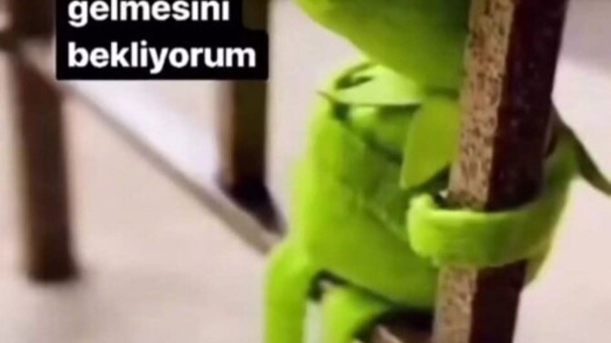Gerçekten hayattan ne bekliyorsunuz, nasıl bir yaşam sizi tatmin eder?