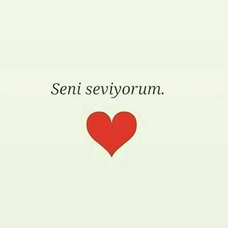 Seni seviyorum kelimesi sadece sevgililerin birbirine söylemesi gereken bir söz mü?
