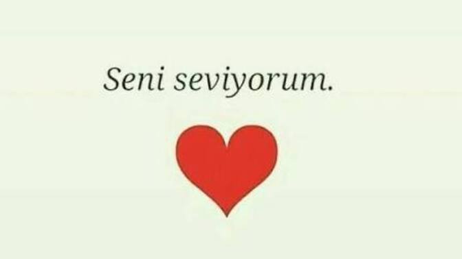 Seni seviyorum kelimesi sadece sevgililerin birbirine söylemesi gereken bir söz mü?