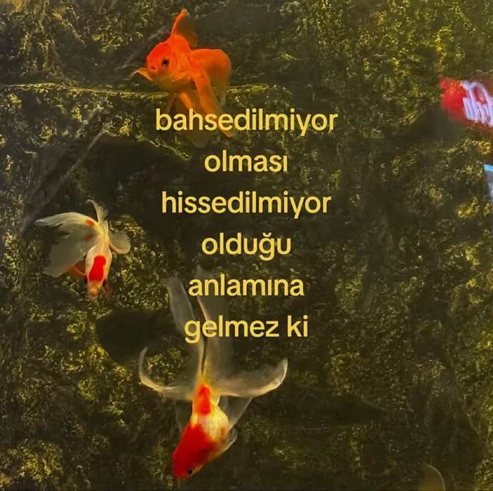 Bir şeyden bahsetmemek, onun hissedilmediği anlamına mı gelir?