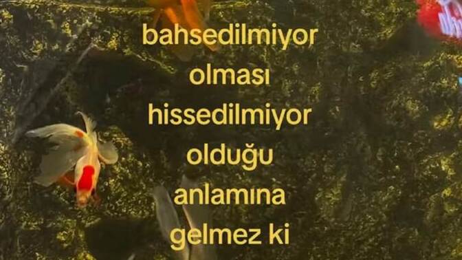 Bir şeyden bahsetmemek, onun hissedilmediği anlamına mı gelir?