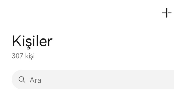 Kalabalık rehber tutmak sizce de ergence ve saçma değil mi, numara silmek mantıklı mı?